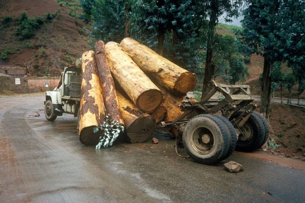 Logging truck - load spill accident